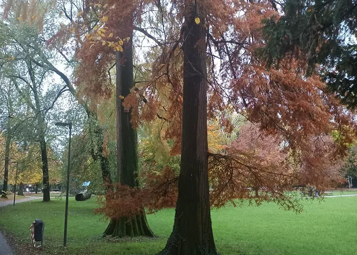 Panoramico Bilocale Con Tutti I Confort E Parcheggio Gratuito Apartment *