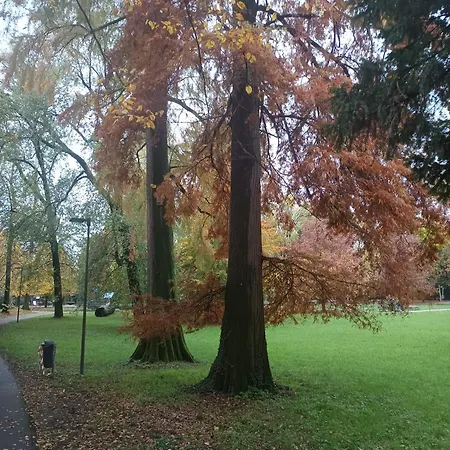 Panoramico Bilocale Con Tutti I Comfort E Parcheggio Gratuito Διαμέρισμα *